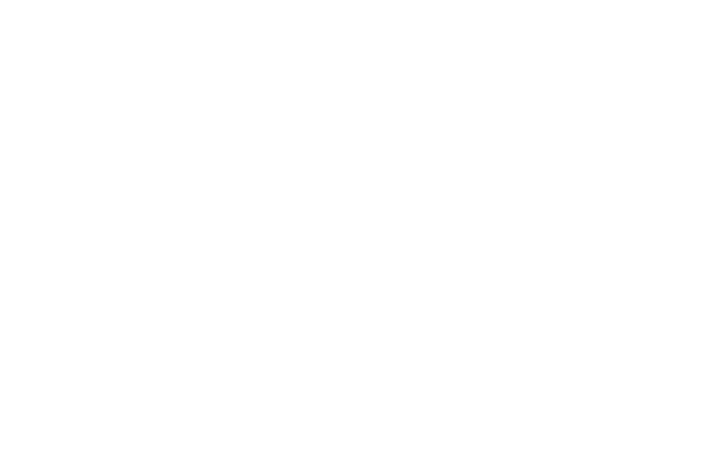 CinTurs